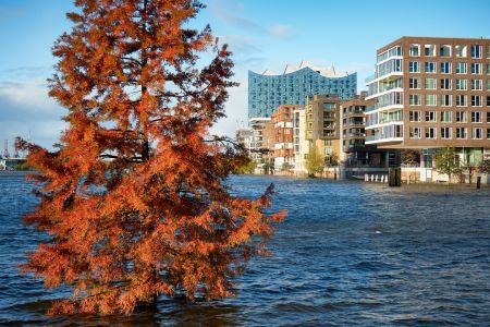 sturmflut-hafencity-29-oktober-2017_24162950698_o.jpg